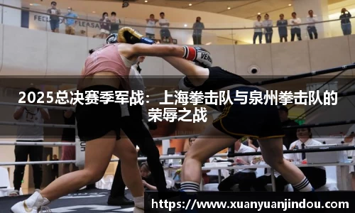 2025总决赛季军战：上海拳击队与泉州拳击队的荣辱之战